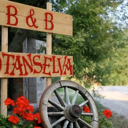 住宿加早餐酒店 B&brotanselva Countrylife